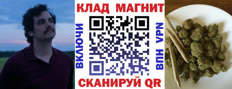 Где купить наркотики Лосино-Петровский Alpha-PVP  АМФЕТАМИН  ГАШИШ  Конопля  Меф мяу мяу 