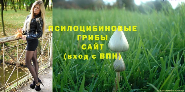а пвп мука Бронницы